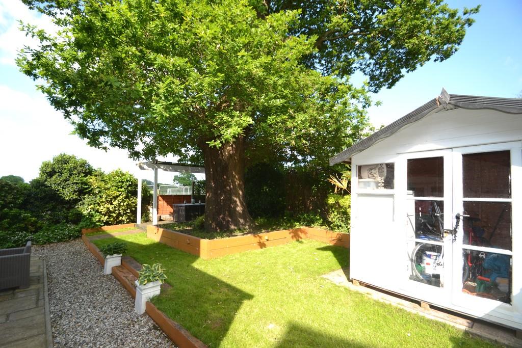 Tree to Rear Garden