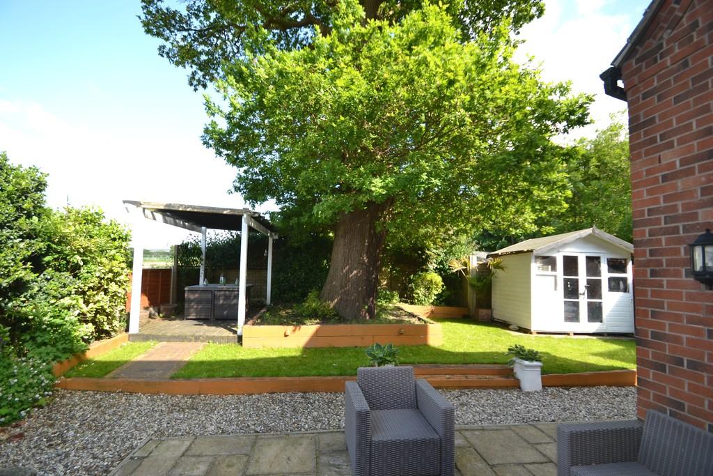Tree to Rear Garden