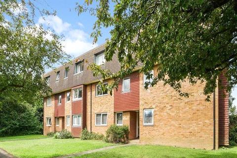 2 bedroom apartment to rent - Elm Grove South, Barnham, Bognor Regis, West Sussex, PO22