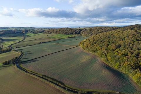 Land for sale, Brinsop, Hereford, Herefordshire