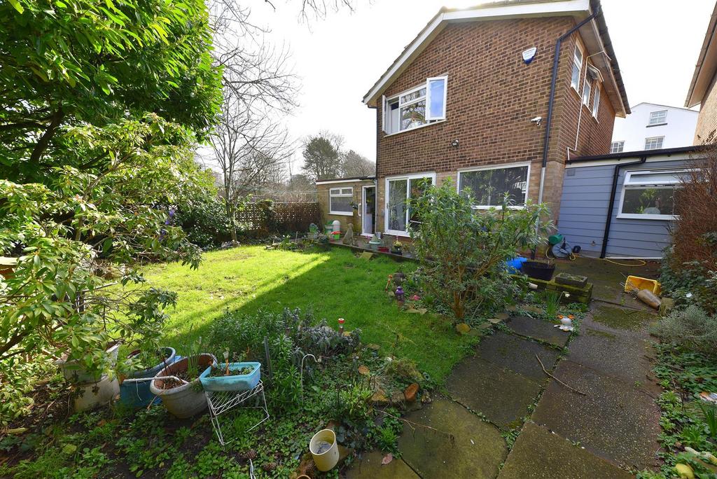 Garden1.JPG