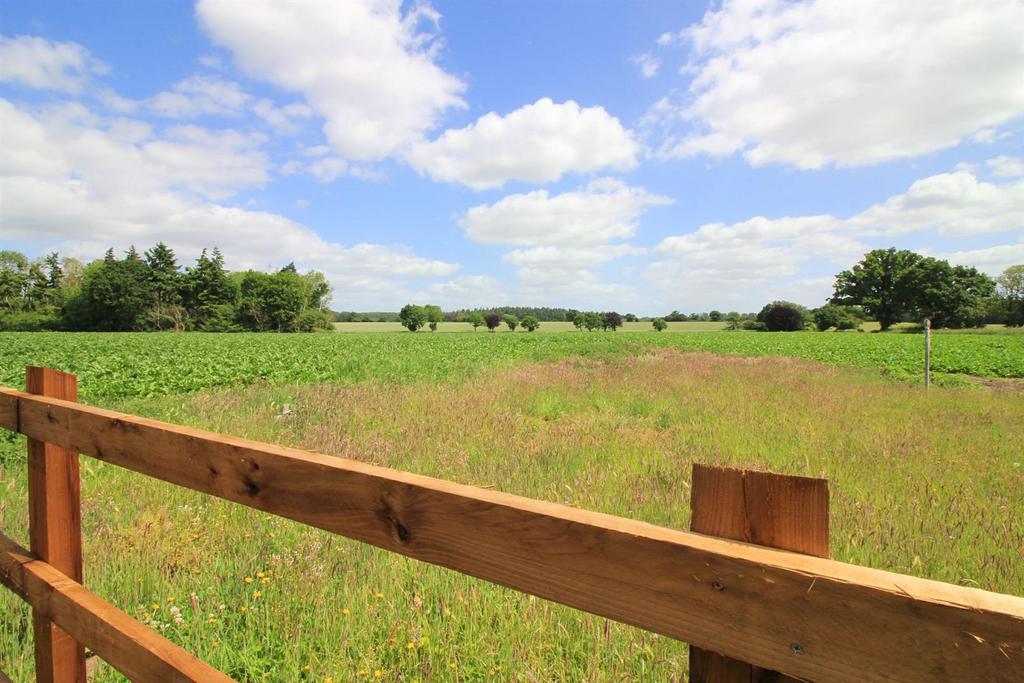 Field View