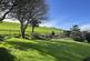 Image00034.jpeg