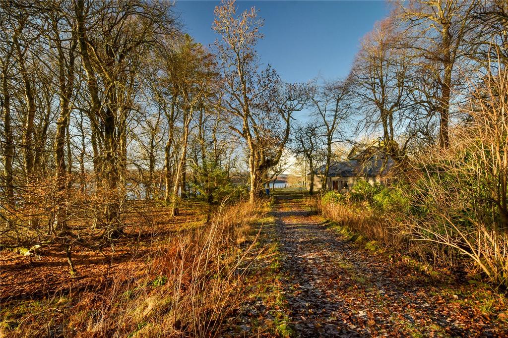 Grounds