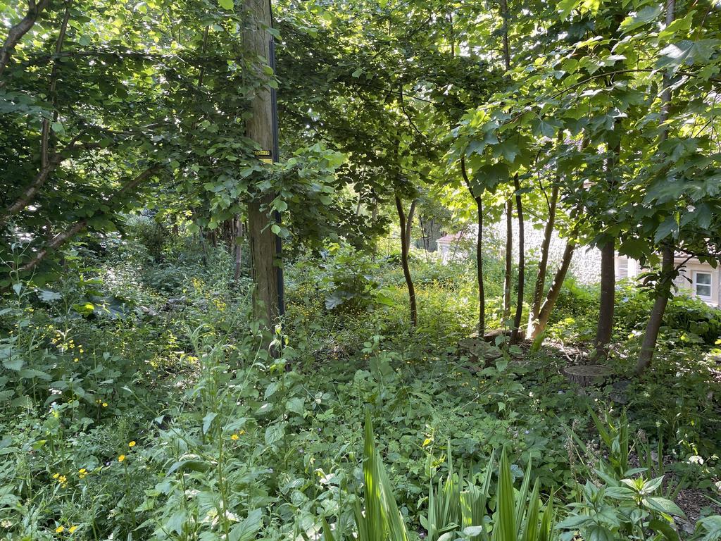 Communal nature garden