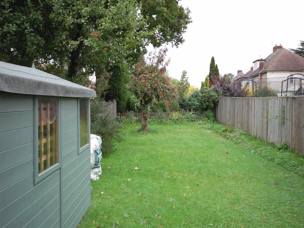 Picture 4