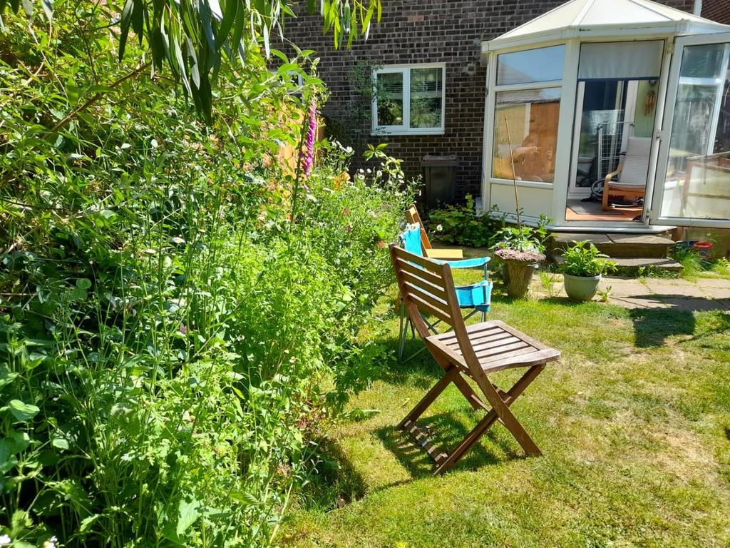 Garden 4.jpg