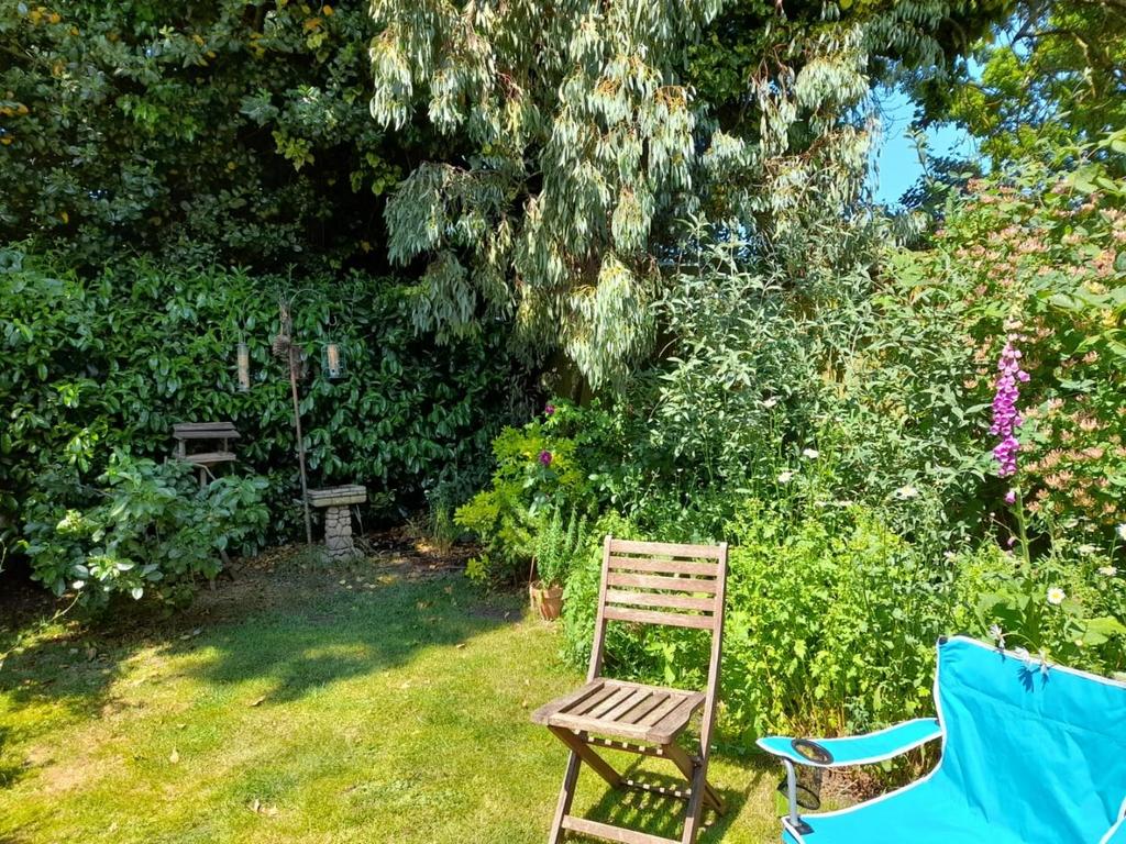 Garden 5.jpg