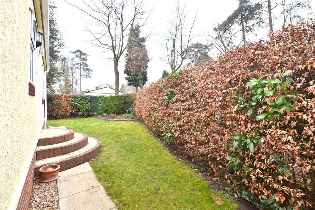Garden 4.JPG