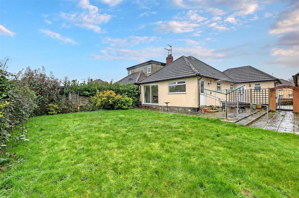 IMG 3566 24 copy.jpg