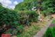 DSCF5650.jpg