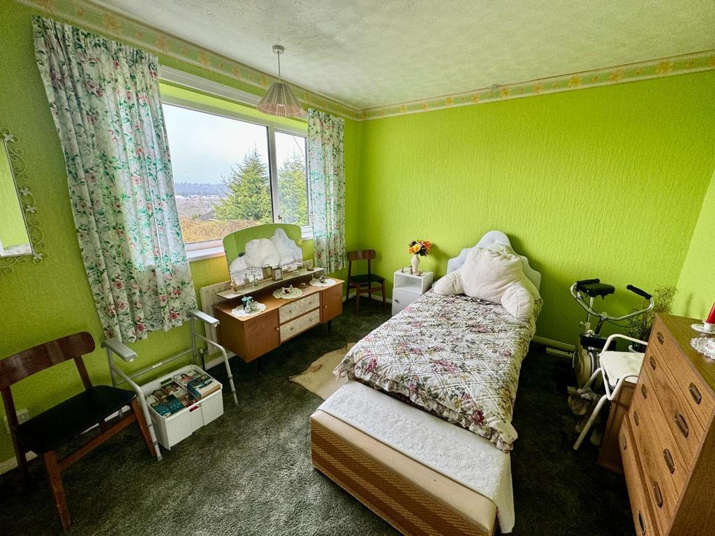 IMG 0817.jpg