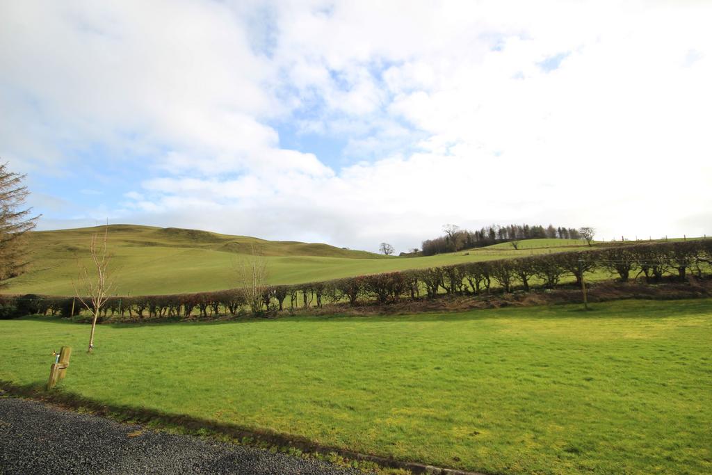 View over front garden