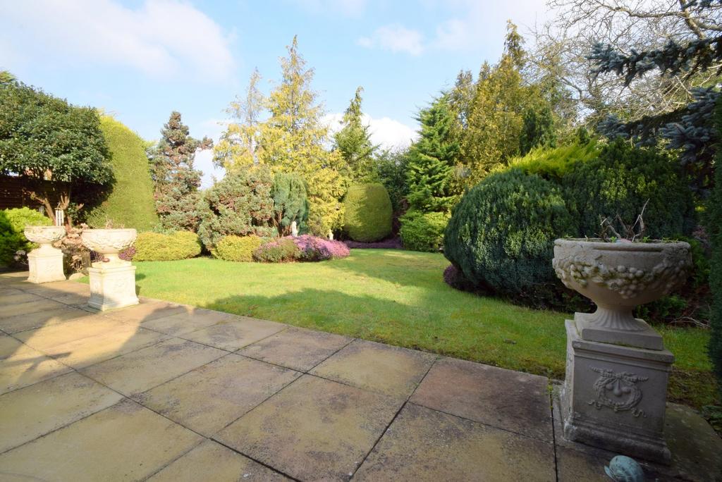 Stunning Rear Garden