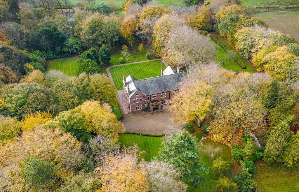 Grounds
