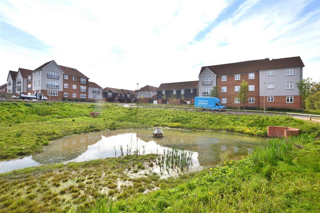 Pond.JPG