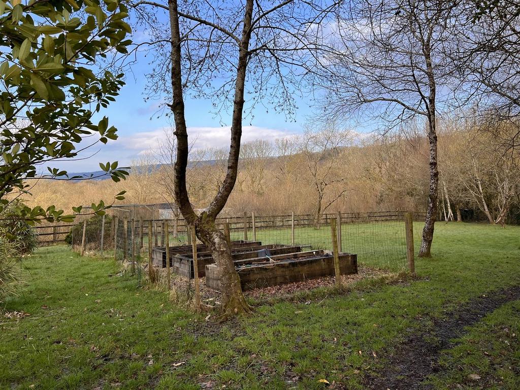 Veg garden