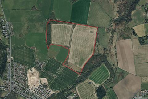 Land for sale, Land at Daisy Hill, Nettlesworth