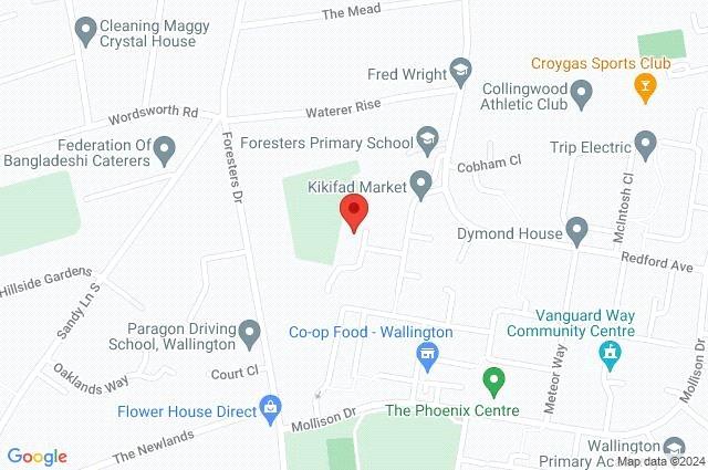 Google Maps Image