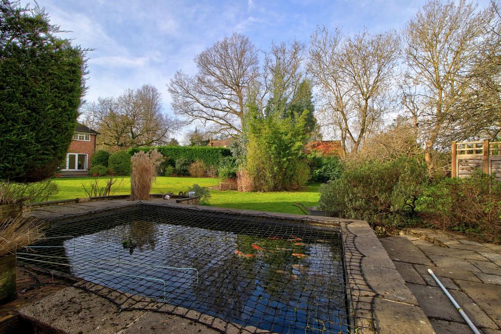 Pond with safety cover