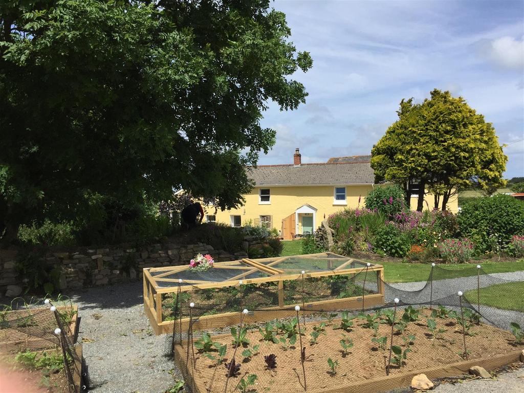 Top allotment 3.jpg