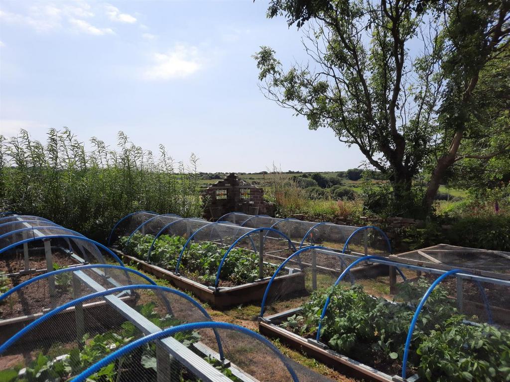 Top allotment 2.jpg