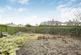 50 27354.jpg