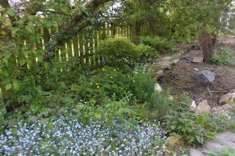 2 bedroom semi-detached house to rent, St Tudy, Bodmin