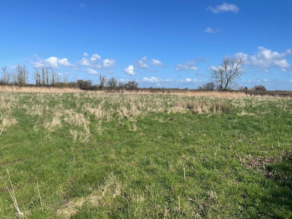 Waldrons Lane, Wembdon, Bridgwater, TA5 Farm land £20,000
