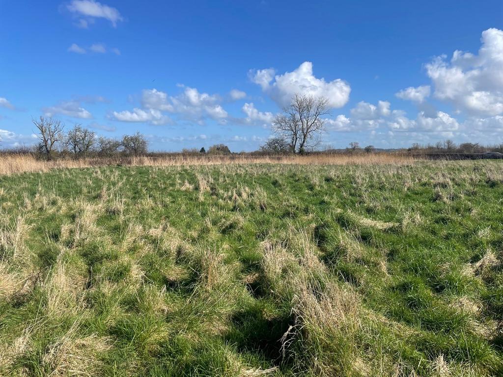 Waldrons Lane, Wembdon, Bridgwater, TA5 Farm land £20,000