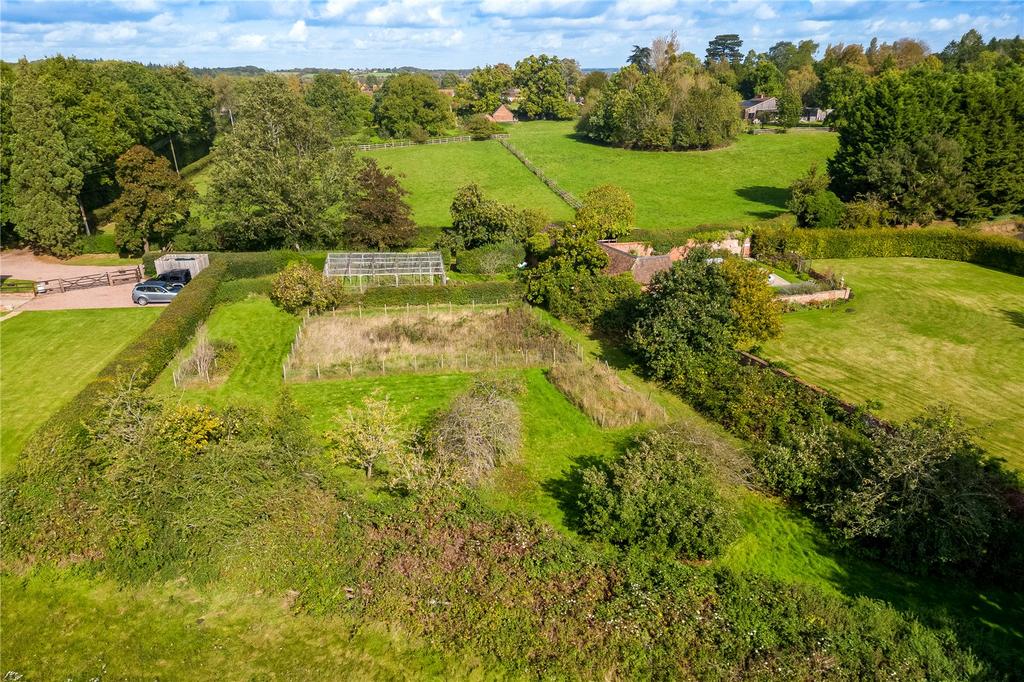 Kitchen Garden