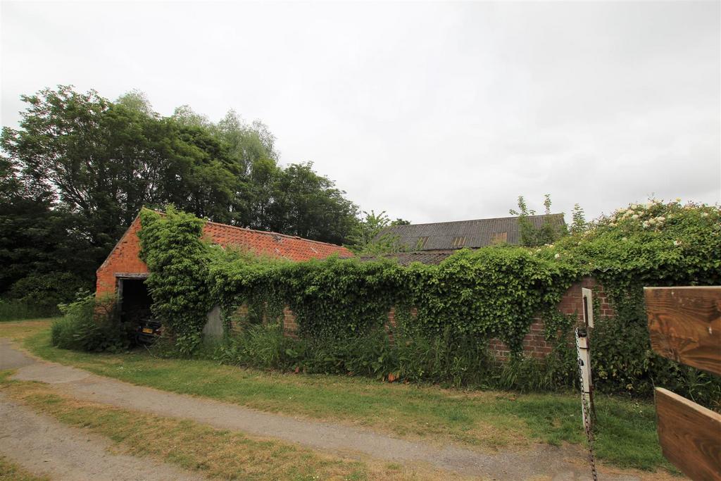 Img 7937.jpg