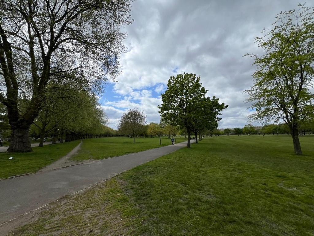 Park 2.jpeg