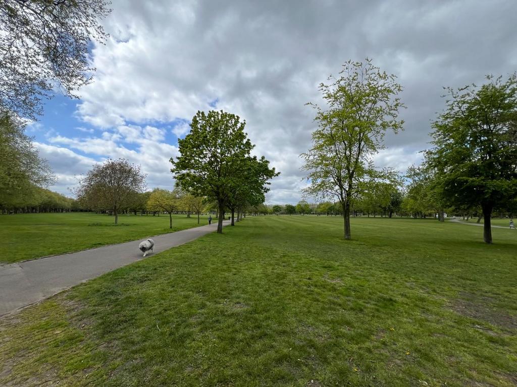 Park.jpeg