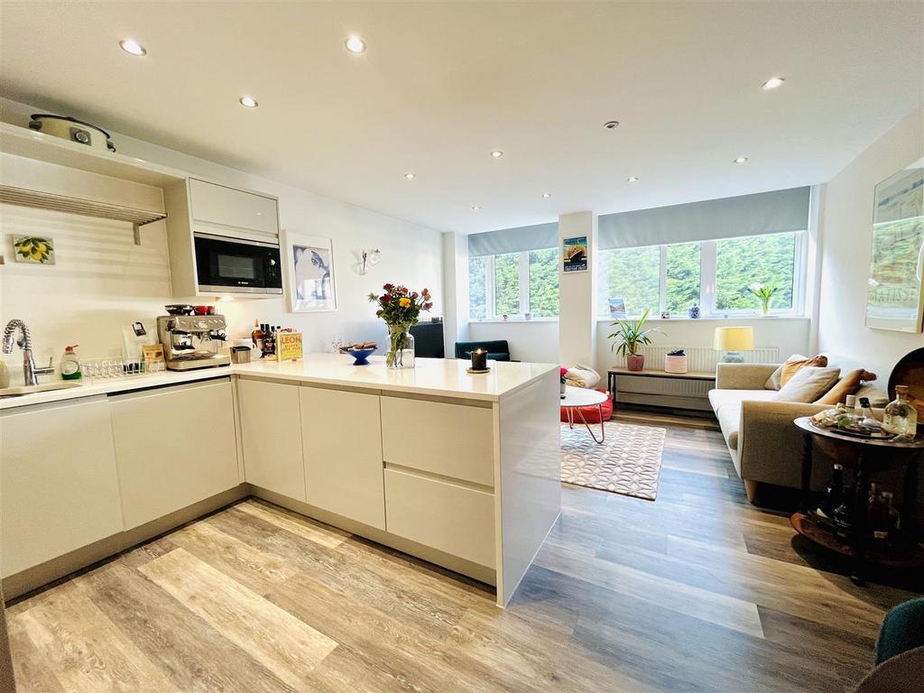 Living Room and Dining Kitchen