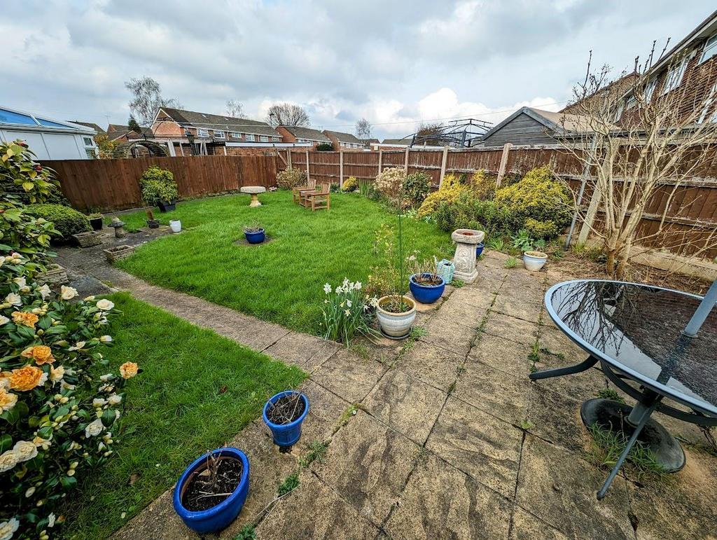Garden 4.jpg