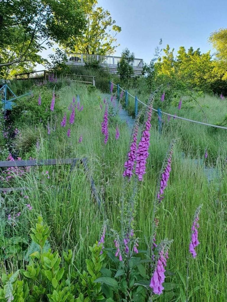 Garden 3.jpg
