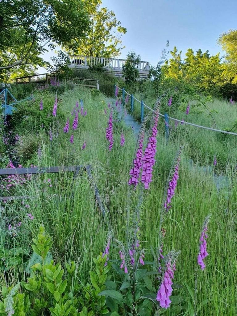 Garden 3.jpg
