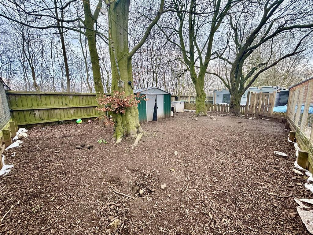 Dog Enclosure