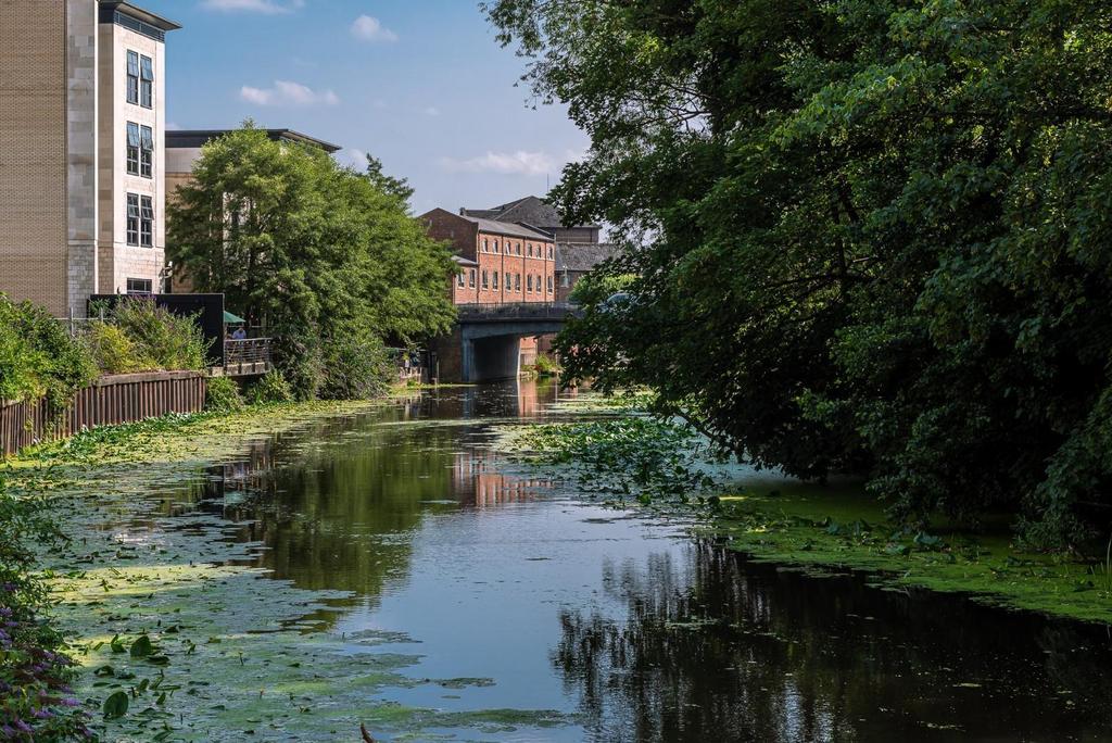 Ryedale river view.jpg