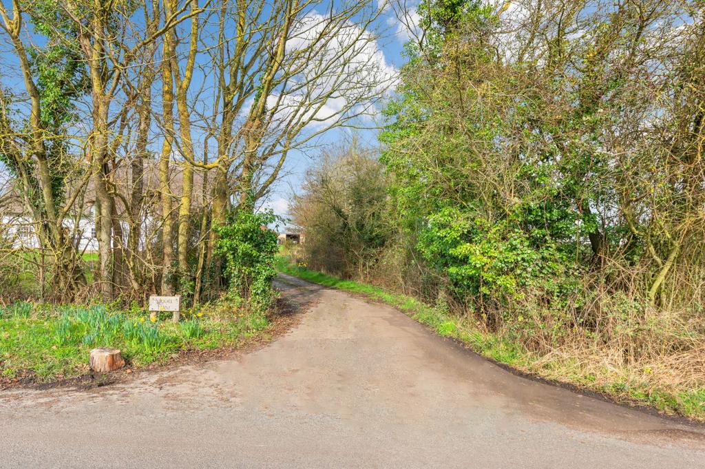 Driveway
