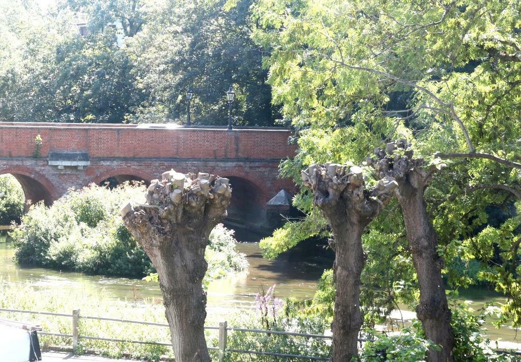 Leatherhead Bridge