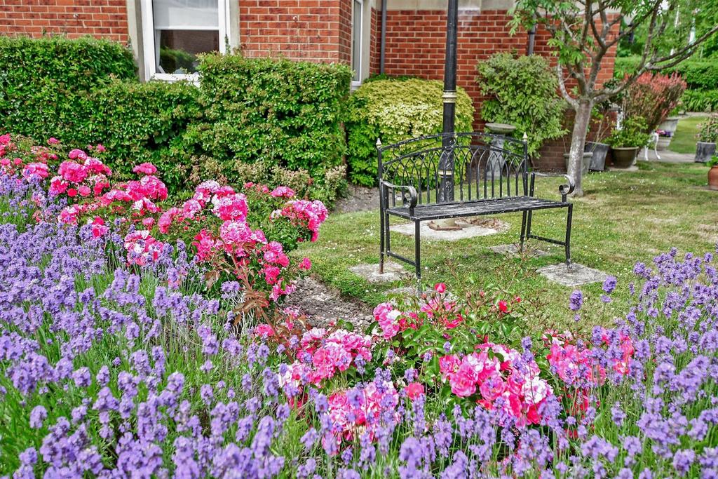 Communal Garden