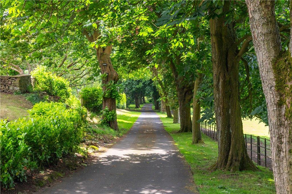 Driveway Approach