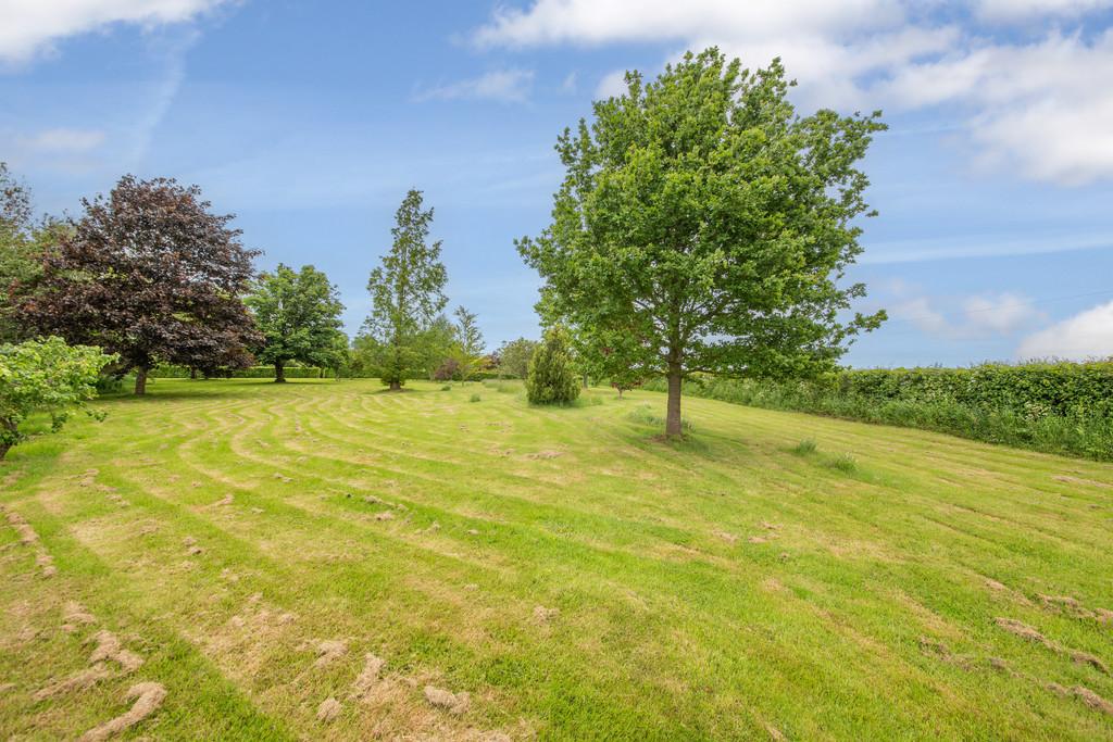 Hillyfields HIGH RES-19