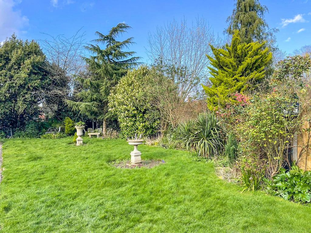 Lawn Area
