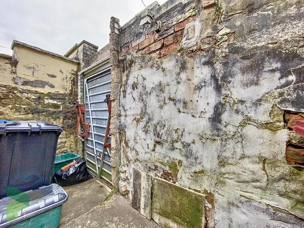 Rear Yard