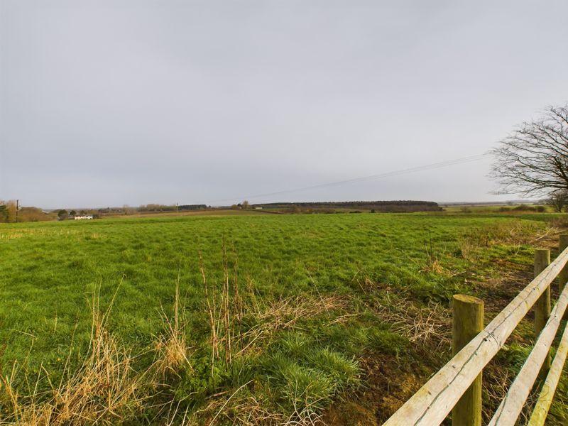 Surrounding farmland