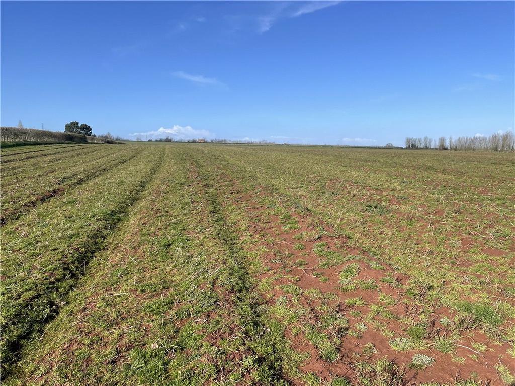 Bridgwater, Somerset, TA7 Land for sale £140,000