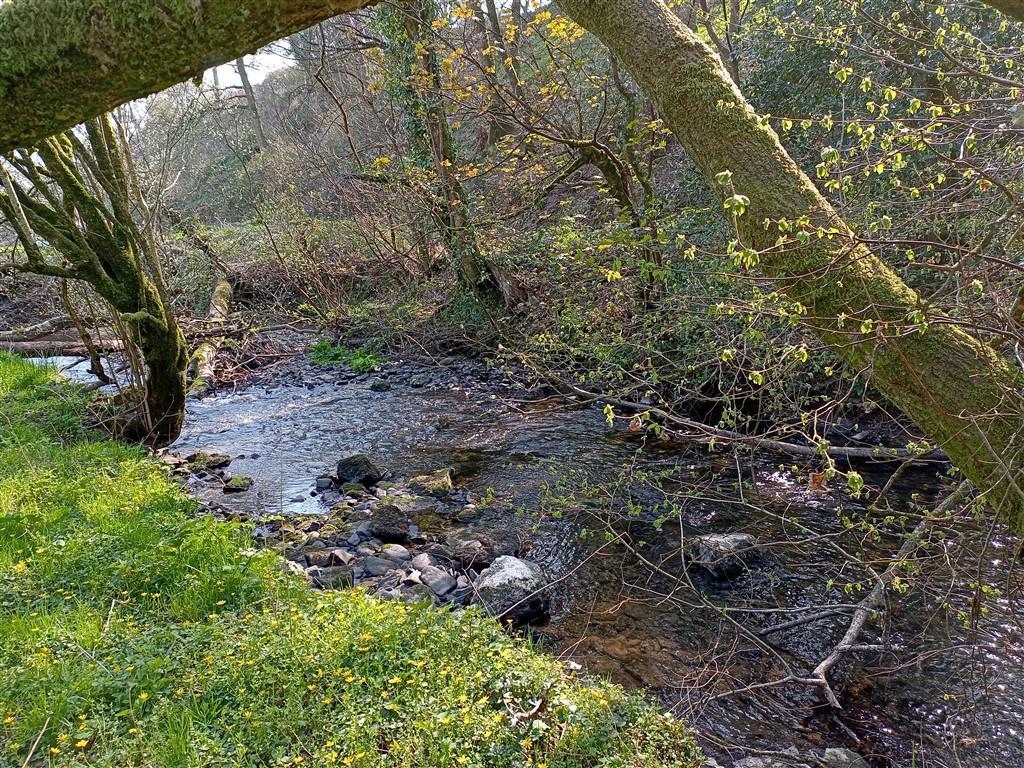 Pretty River Cerdin On Boundary